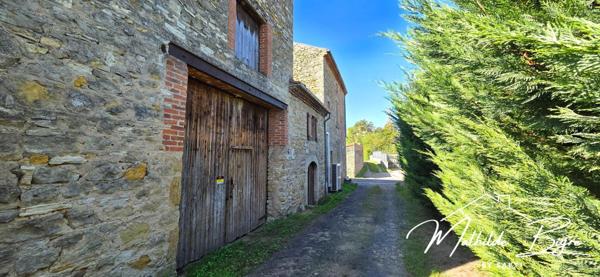 Maison en pierre avec dépendance et terrain