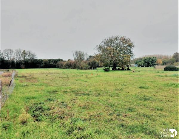 Terrain - Vendu - 528 m² - CHAUMES-EN-RETZ | The Door Man