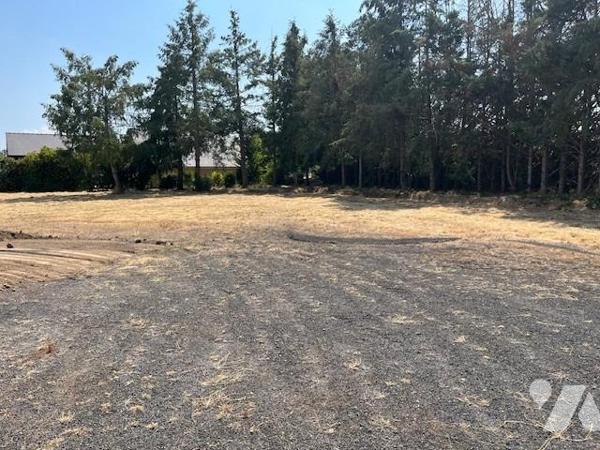 TERRAIN CONSTRUCTIBLE COSNE D'ALLIER