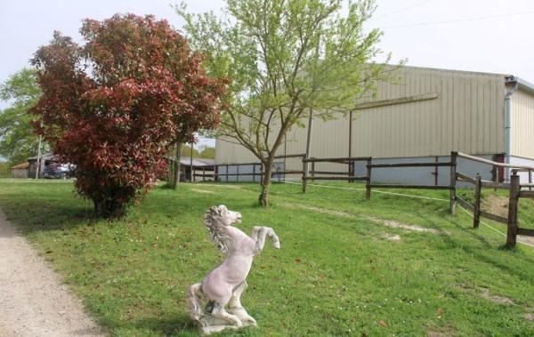 Vente Propriété EQUESTRE AVEC GITES Carmaux   