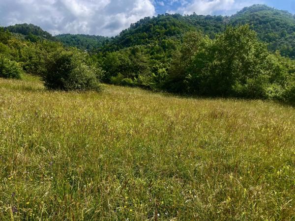 Sospel (06380) Terrain viabilisés