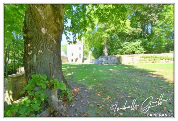 Maison à vendre 6 pièces CHATEAUMEILLANT (18) 4 chambres grand terrain arboré