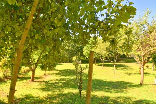 Maison à vendre 6 pièces CHATEAUMEILLANT (18) 4 chambres grand terrain arboré