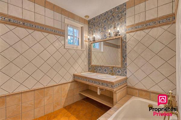 TERNAY- PROPRIETE DE CARACTERE AVEC PISCINE - TERRAIN 4 297 m²