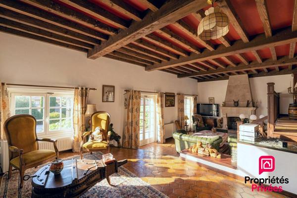 TERNAY- PROPRIETE DE CARACTERE AVEC PISCINE - TERRAIN 4 297 m²