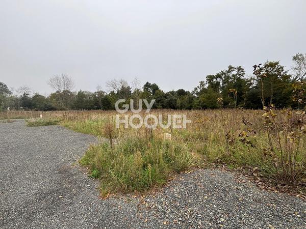 terrain viabilisé 551 m2