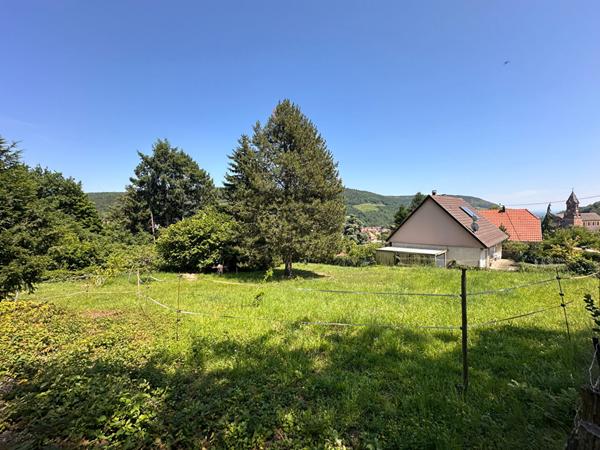 Terrain - 385 m²