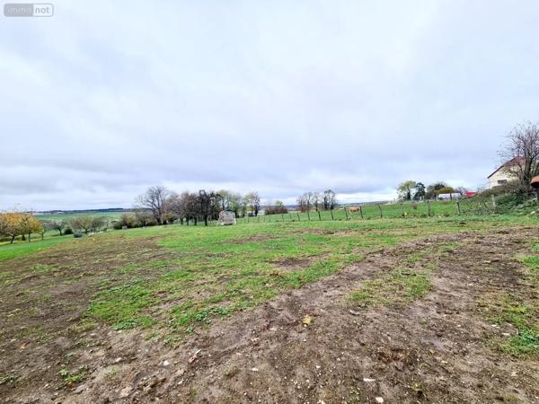 Achat - Terrain à bâtir Bolandoz 25330 694 m 2