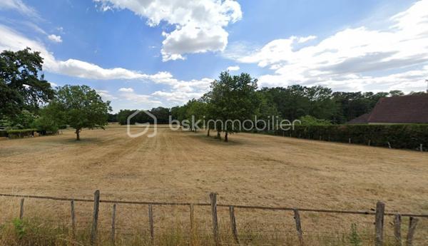 Terrain de 9 701 m²