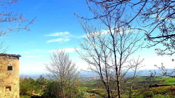 Terrain avec bâtisse