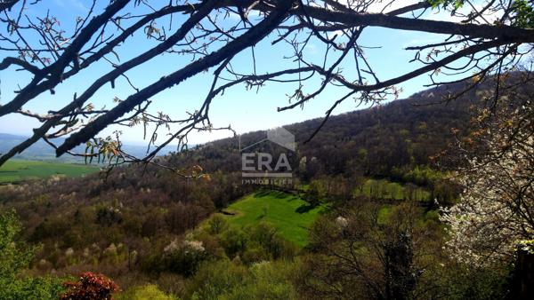 Terrain avec bâtisse