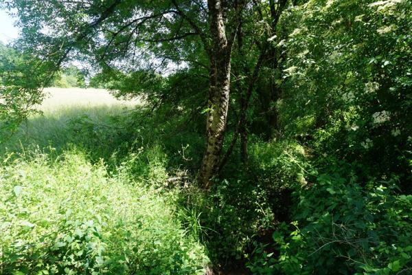 Terrain à bâtir de 2,8 hectares