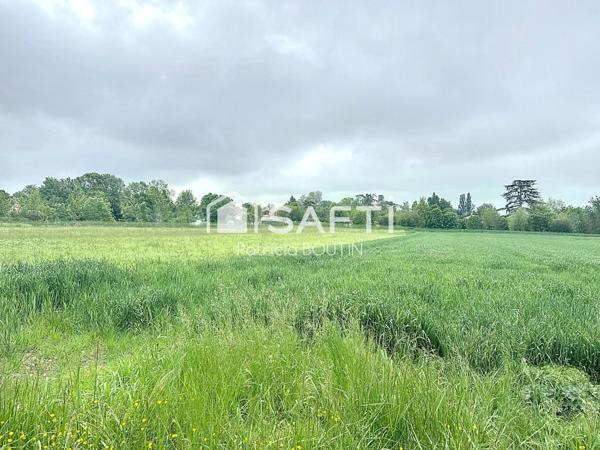 TERRAIN DE PLUS DE 8000 M2 AUX PORTES DE NIORT !