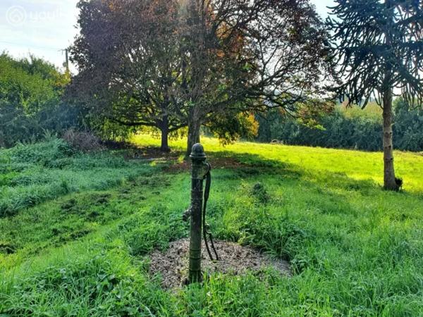 Maison de village à vendre à Tiercé, 161 m² charmants