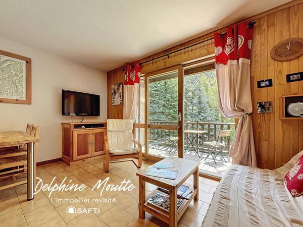 AIGUILLES -T1 lumineux SUD- vue dégagée