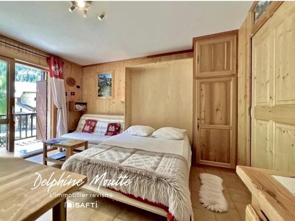 AIGUILLES -T1 lumineux SUD- vue dégagée