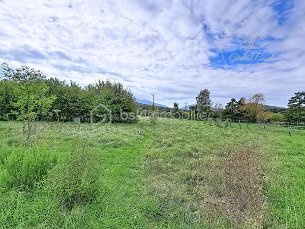 Exclusivité Gérald COVILI - BSK Immobilier

Située dans l’arrière-pays grassois, à moins d’une heure de Grasse, dans le magnifique petit village de La Foux-de-Peyroules, cette maison de 134 m² vous séduira par son environnement naturel privilégié, son calme et ses beaux volumes.

Répartie sur deux niveaux, elle propose au rez-de-chaussée un agréable séjour avec cuisine ouverte et poêle à bois, donnant directement accès à la terrasse et au jardin. Vous y trouverez également une chambre ainsi qu’une arrière-cuisine.

À l’étage, un second salon chaleureux avec cheminée s’ouvre sur un balcon offrant une belle vue sur l’environnement naturel. Ce niveau comprend également trois chambres, une salle d’eau, un WC et une buanderie.

La propriété dispose par ailleurs de deux annexes et d’un abri voiture, offrant des espaces complémentaires appréciables.

À l’extérieur, vous profiterez d’un vaste terrain dans un cadre paisible et verdoyant, idéal pour les amoureux de nature, de grands espaces et de tranquillité. Le terrain étant situé en zone agricole protégée, les possibilités d’aménagement et de construction sont soumises aux règles d’urbanisme en vigueur.

Cette propriété conviendra parfaitement à ceux qui recherchent de l’espace et une qualité de vie au plus près de la nature, que ce soit pour une résidence principale ou secondaire.

Une belle opportunité pour profiter d’un environnement préservé, loin de l’agitation !

À visiter sans tarder – Coup de cœur assuré !
Pour tout renseignement ou organiser une visite, contactez Gérald COVILI au 06 14 42 87 03.