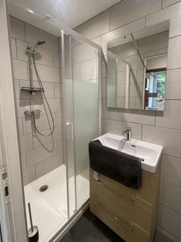 Location Studio meublé 29.5 m² - ÉPinal 88000