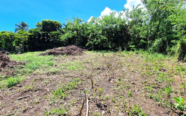 Terrain à vendre    Le Vauclin