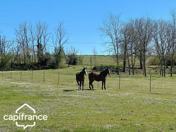Propriété 12 pièces proche de THOUARS (79) un lieu d’exception.