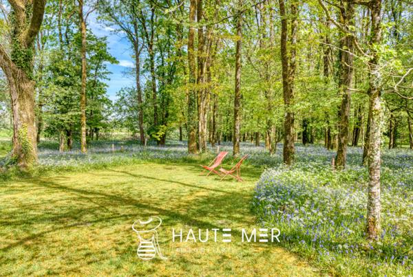 TREFLE – Lisière de ville – villa contemporaine au cœur d’un parc boisé