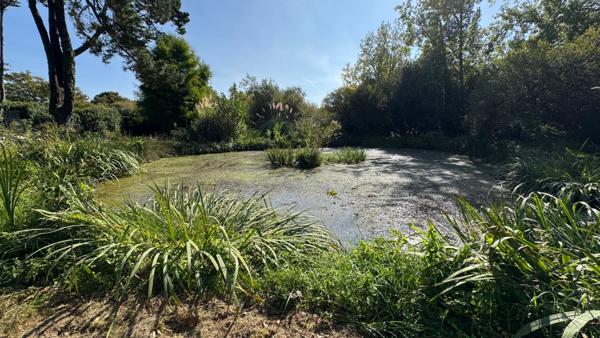 SAINT-PIERRE-QUIBERON - Vente propriété exceptionnelle de 300 m² avec piscine, étang et très grand terrain