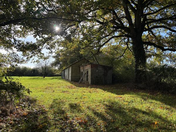 Couleuvre – Maison individuelle sur 5,13 hectares de terrain privé, entourée par la nature et le calme Couleuvre (03320)