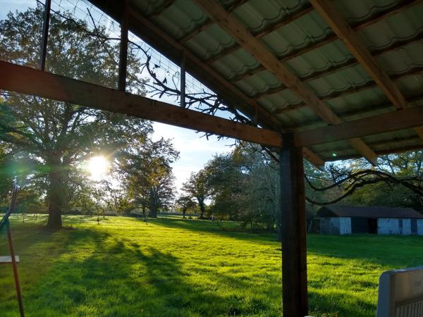 Couleuvre – Maison individuelle sur 5,13 hectares de terrain privé, entourée par la nature et le calme Couleuvre (03320)