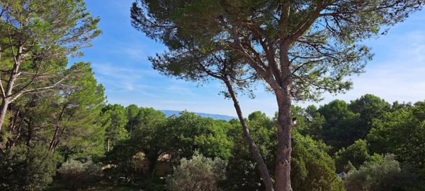 L'Isle-sur-la-Sorgue (84800) IIse sur laSorgue Colline maison de 160 m2 terrain 3540 m2