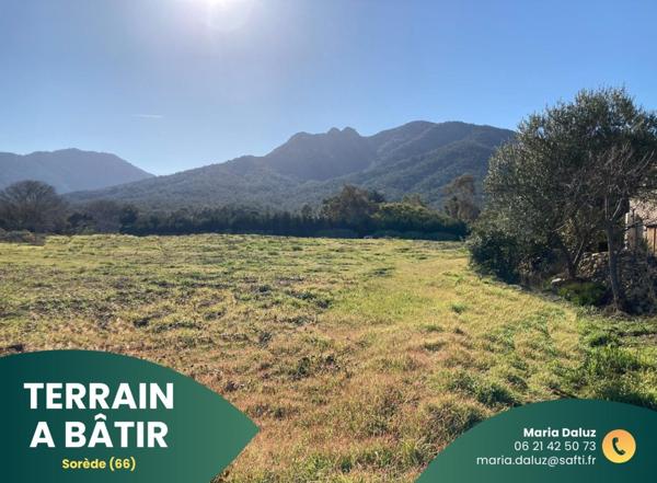 Terrain plat à bâtir à Sorède