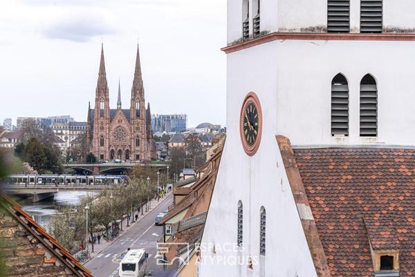 Appartement en derniers étages avec terrasse au coeur de la Krutenau