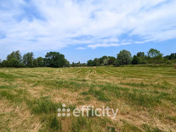 Maison 8 pièces - 216 m²