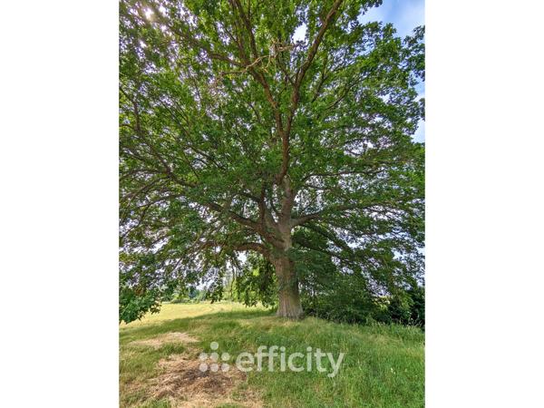 Maison 8 pièces - 216 m²