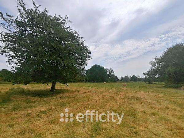 Maison 8 pièces - 216 m²