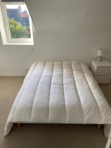 Appartement T2 Meublé - Quartier Monselet - Nantes - CS 2029 Détails des diagnostics énergétiques