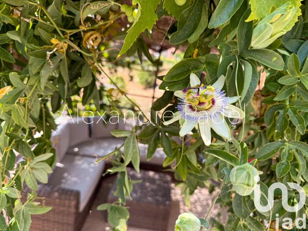 Maison à vendre 10 pièces 270 m² Carqueiranne