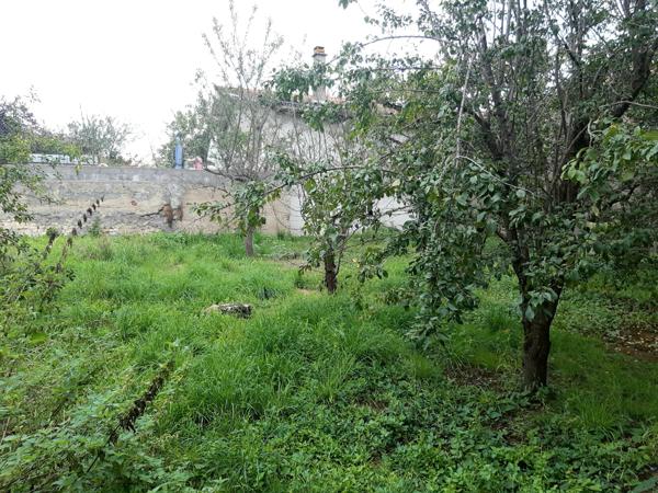 Maison 5 pièces - 78 m² Exclusivité efficity