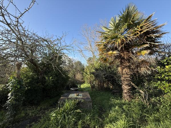 Plouhinec – Maison en Pierre Vue Mer Située à 700 m de la Plage avec Jardin Arboré Garage & Atelier