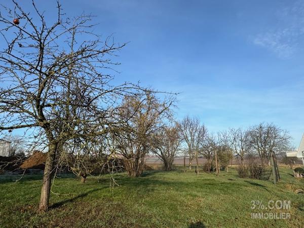 3%COM Jolie maison avec jardin 8 ares  Schnersheim (67370)