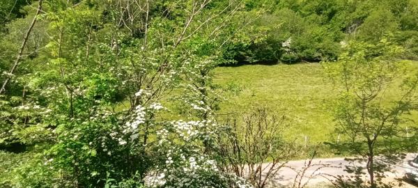 Vente / Maison en pierre