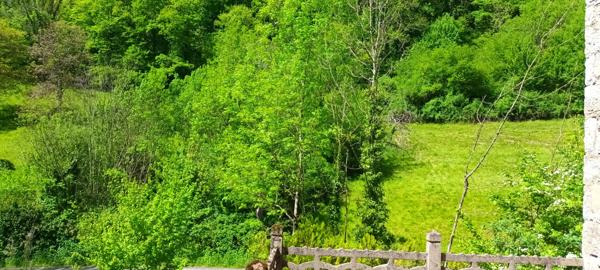 Vente / Maison en pierre