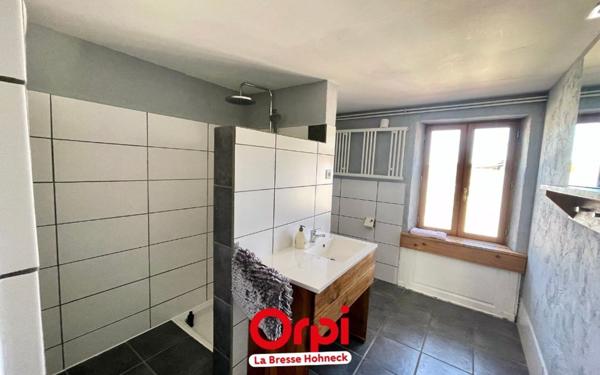 Maison à vendre    10 pièces •  Granges-sur-Vologne