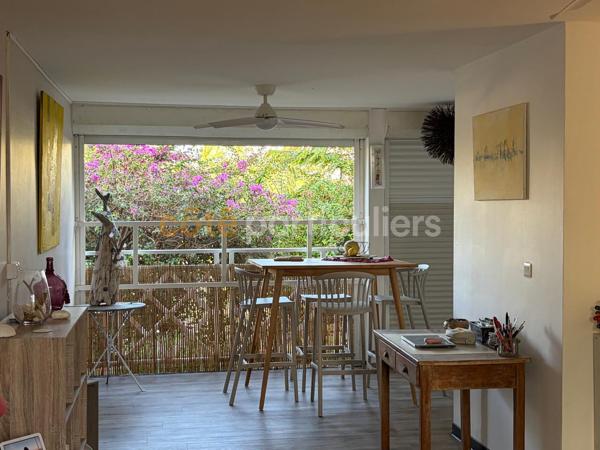 Vente
                Appartement58 m² - 2 Pièces -
                    97190 (97190)