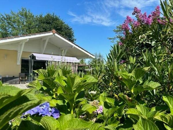 GÎTES + Maison avec piscine