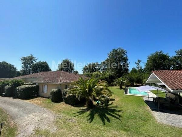 GÎTES + Maison avec piscine