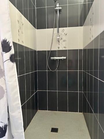 GÎTES + Maison avec piscine