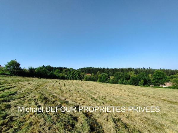 Raucoules 43290  terrain de 4926m² dont 3551m² constructibles