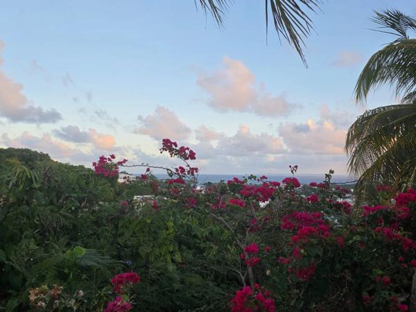 Superbe propriété VUE MER PANORAMIQUE sur plus de 3000 m²