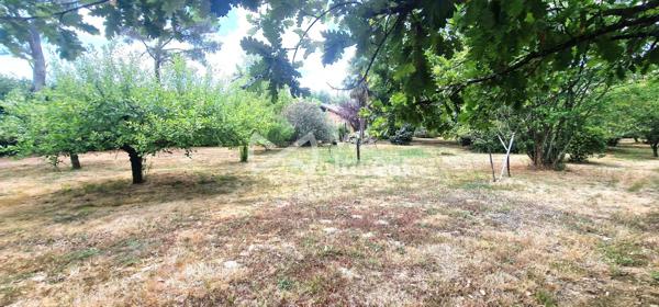 Maison 123,5 m² avec grand terrain de 5500M² en zone artisanale et commerciale