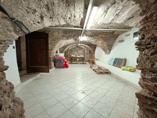 DEMEURE D'EXCEPTION – HAUT-LANGUEDOC – VUE PANORAMIQUE